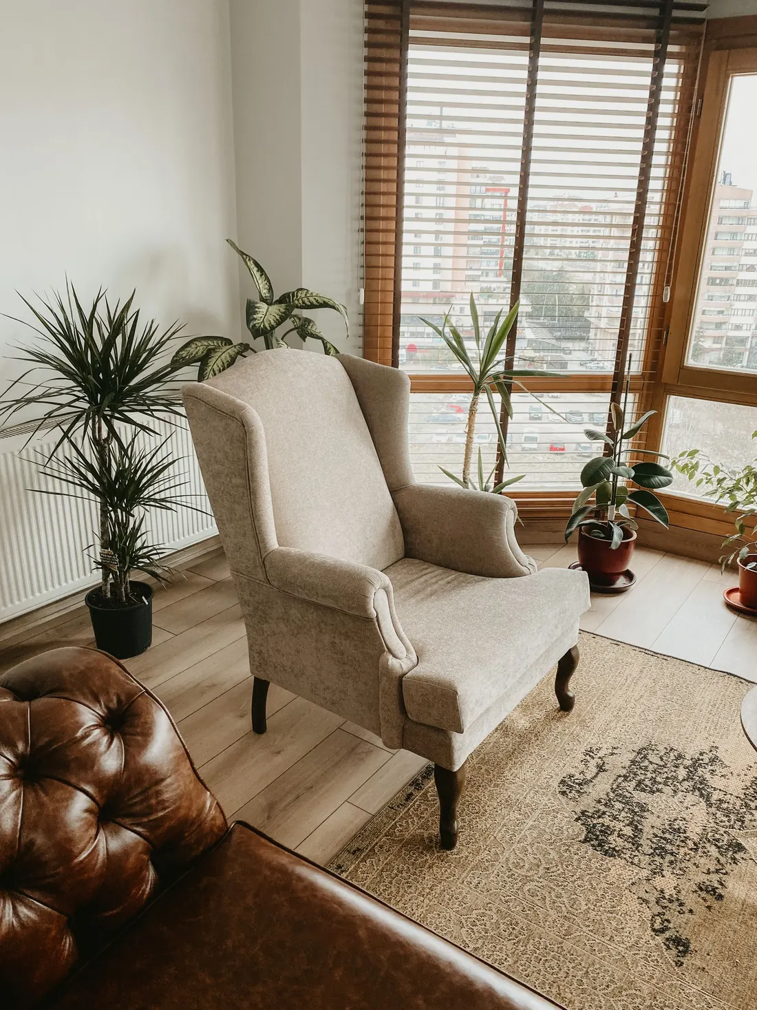 Poltrona clara com plantas e luz de janela
